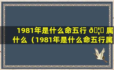 1981年是什么命五行 🦍 属什么（1981年是什么命五行属什么是什么金）